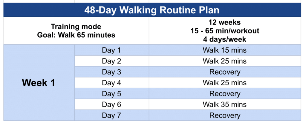 48-day WellTraining Walking Routine